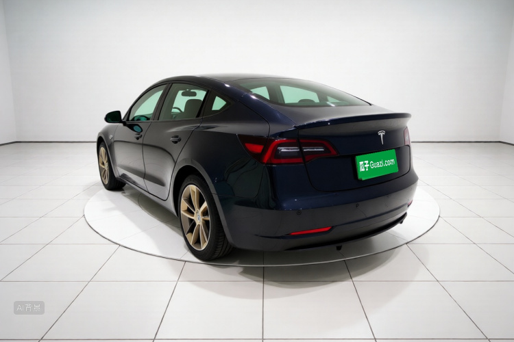 Tesla Model 3 2021 #5 Tesla Model 3 2021 car image #5