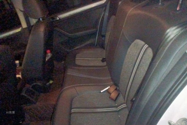 Volkswagen Santana 2021 car image #19