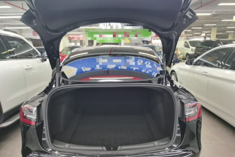 Tesla Model 3 2023 car image #21