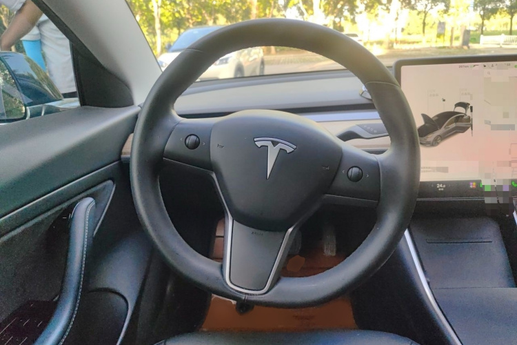 Tesla Model 3 2020 #15 Tesla Model 3 2020 car image #15