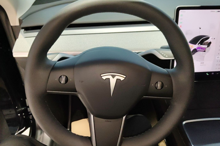 Tesla Model Y 2025 immagine di auto #15