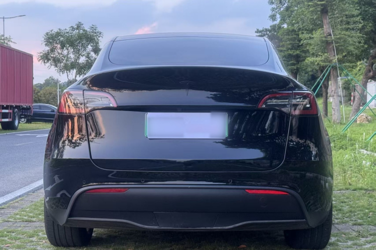 Tesla Model Y 2021 #6 Tesla Model Y 2021 car image #6