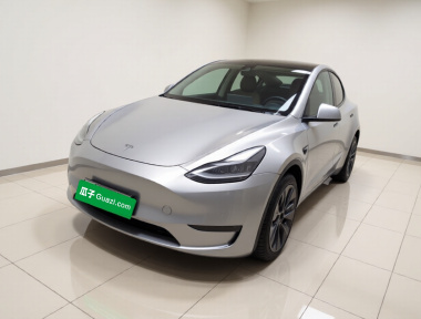 Tesla Model Y 2022 Tesla Model Y 2022 car image