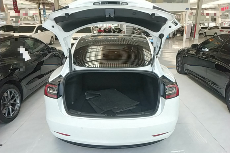 Tesla Model 3 2021 #19 Tesla Model 3 2021 car image #19