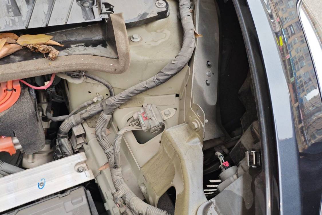 Tesla Model Y 2024 car image #12