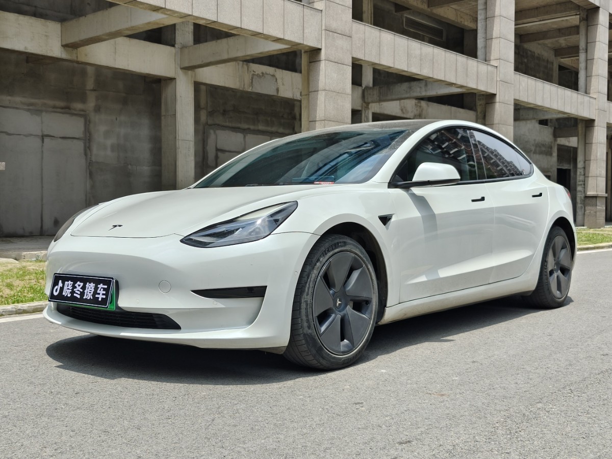 Tesla Model 3 2021 immagine di auto 