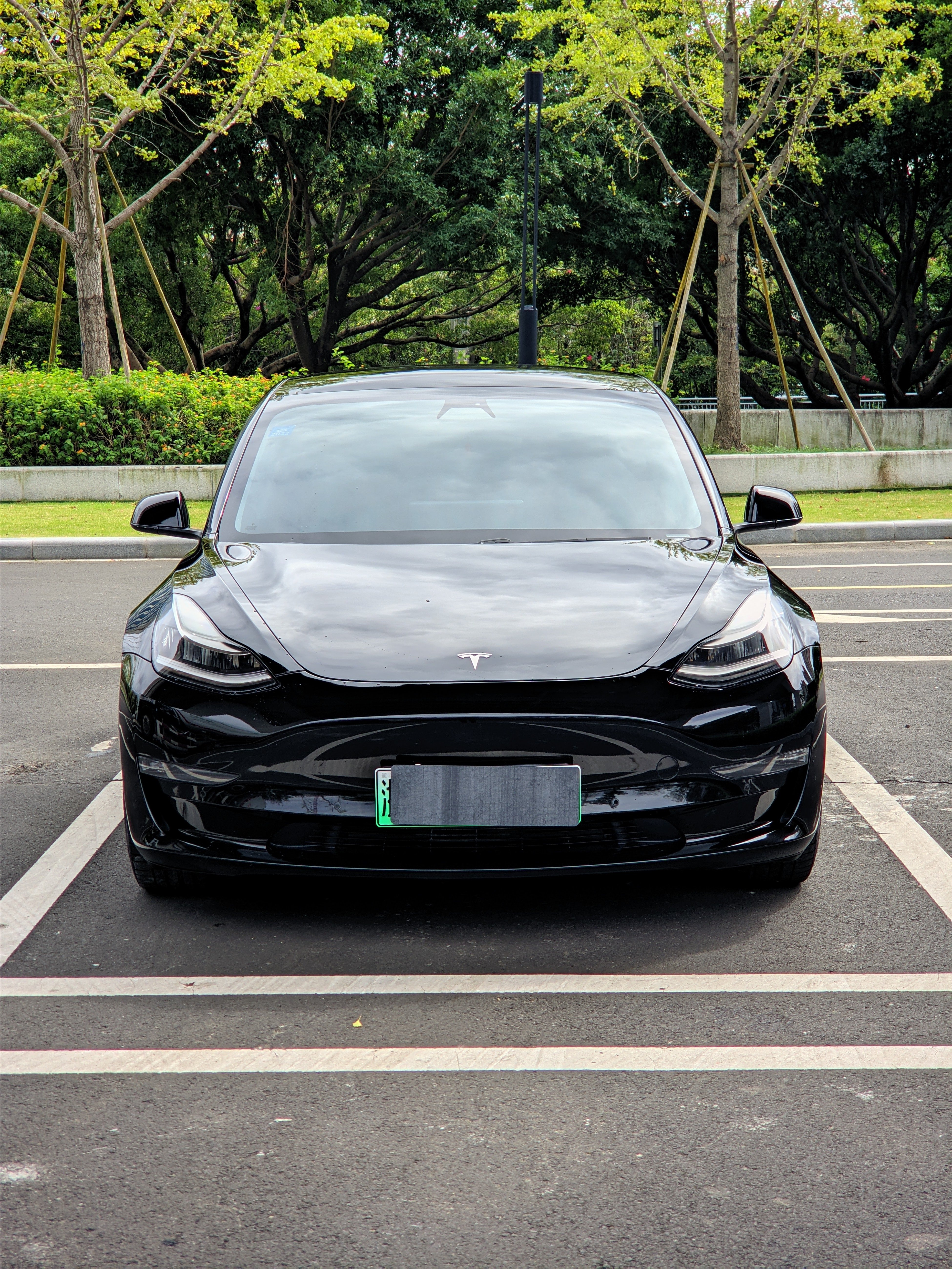 Tesla Model 3 2020 car image #4
