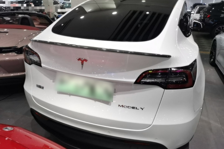 Tesla Model Y 2022 car image #6