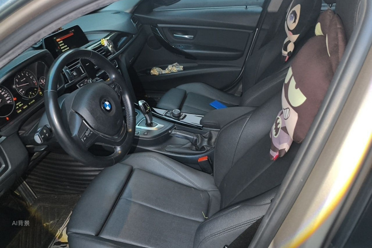 BMW 3 Series 2017 car image #17