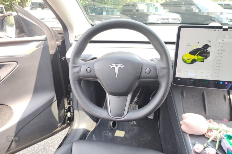 Tesla Model Y 2021 car image #12