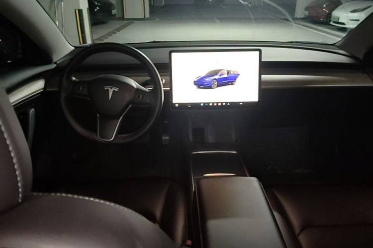 Tesla Model 3 2022 car image #10