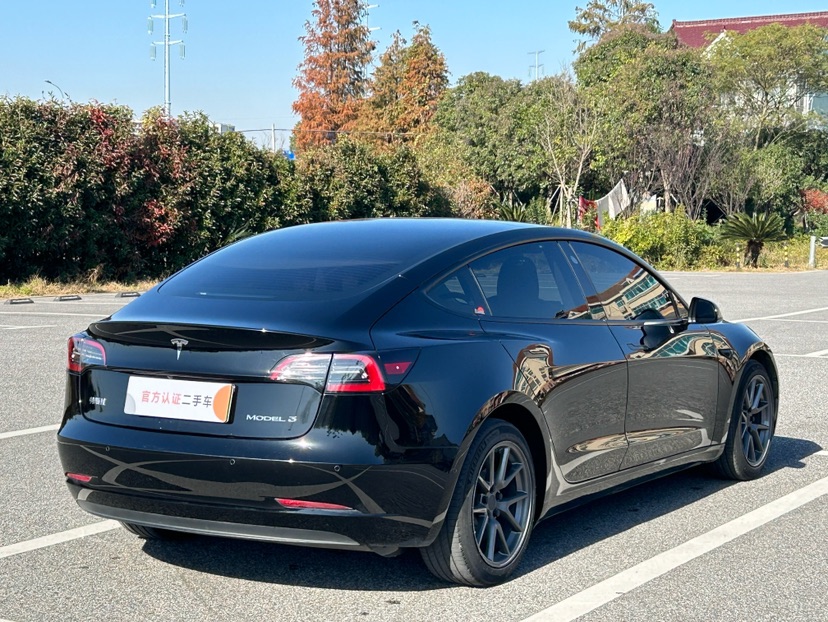 Tesla Model 3 2021 #6 Tesla Model 3 2021 car image #6
