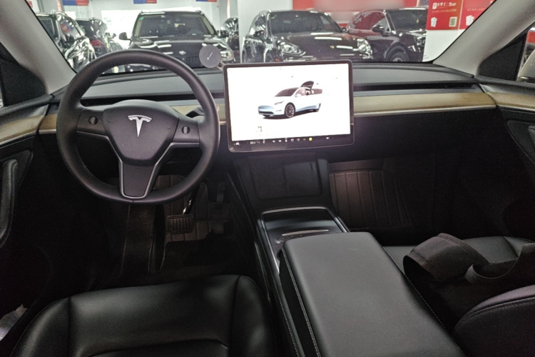 Tesla Model Y 2022 car image #10