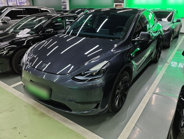 Tesla Model Y 2024 car image 