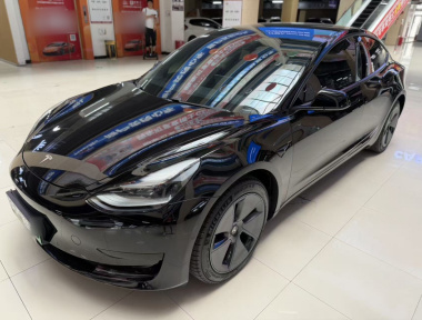 Tesla Model 3 2021 Tesla Model 3 2021 car image