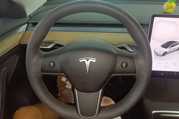 Tesla Model 3 2022 #11 Tesla Model 3 2022 car image #11