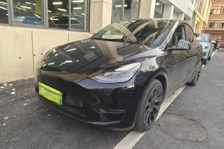 Tesla Model Y 2021 imagem de carro #2