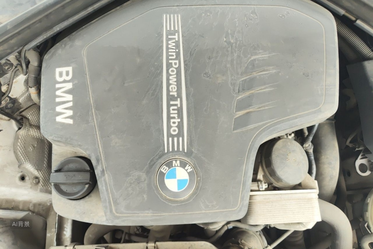 BMW 3 Series 2016 car image #22