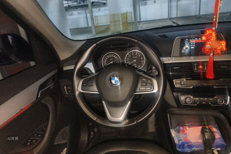 BMW X1 2016 car image #12