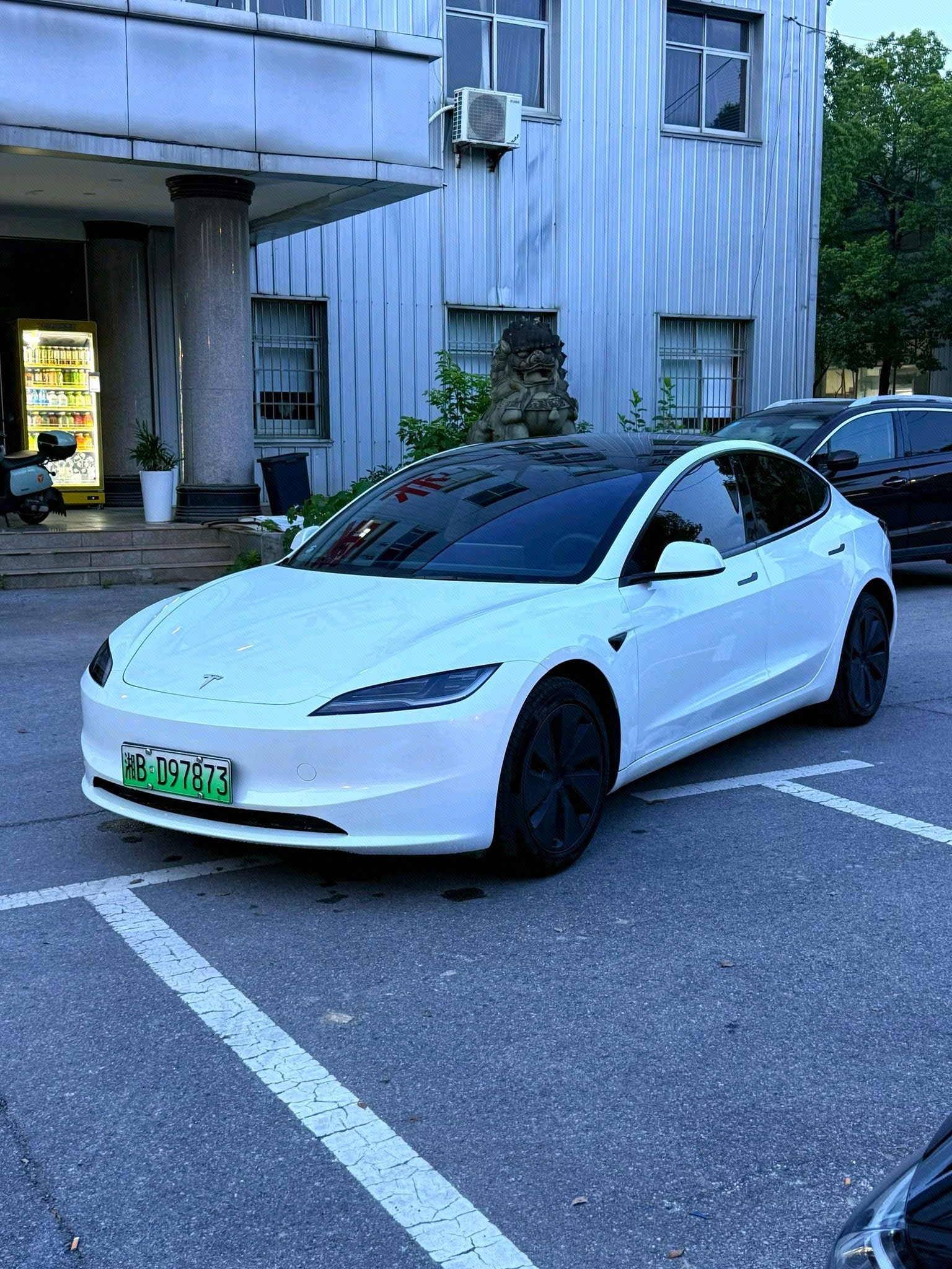 Tesla Model 3 2025 car image 