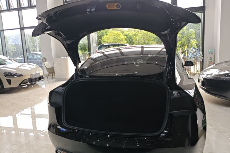 Tesla Model 3 2023 car image #19