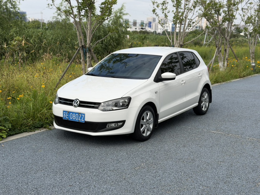 Volkswagen Polo 2013 car image 