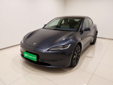 Tesla Model 3 2024 car image 