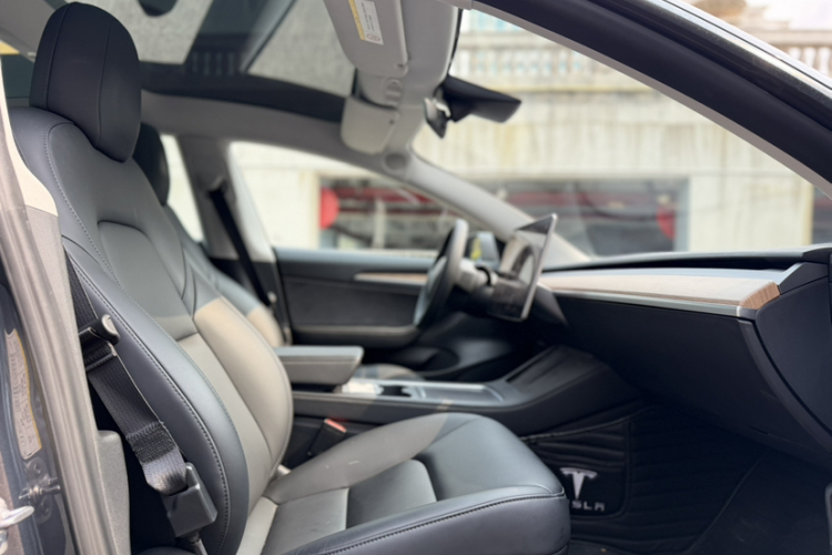 Tesla Model 3 2021 #30 Tesla Model 3 2021 immagine di auto #30