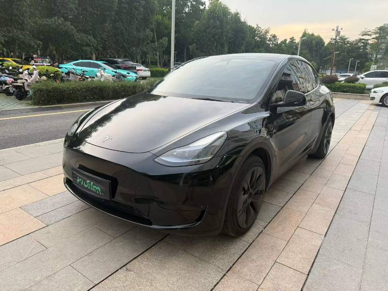 Tesla Model Y 2022 car image 
