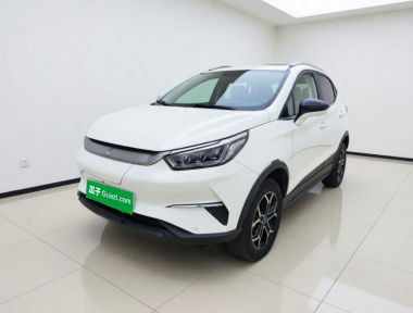 BYD Yuan Pro 2021 immagine di auto 