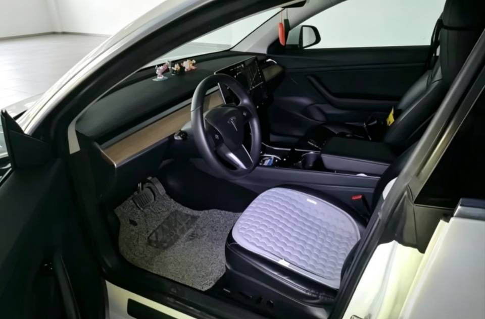 Tesla Model 3 2020 car image #3