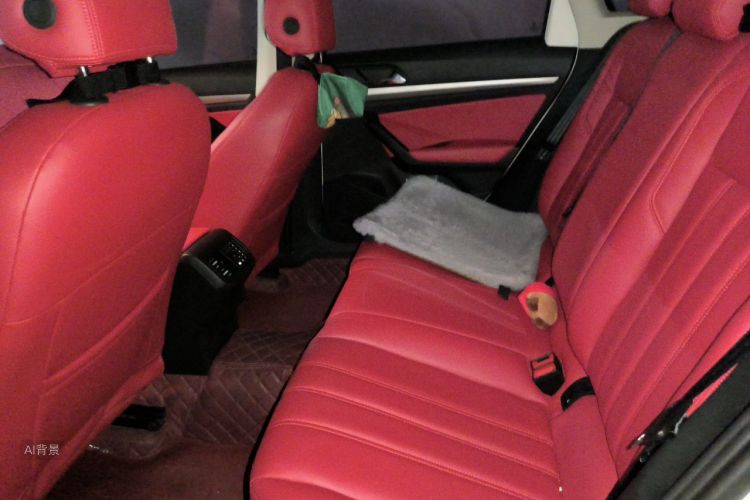 Volkswagen Lavida 2022 car image #19