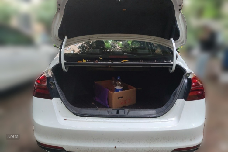 GEELY Emgrand 2019 #21 GEELY Emgrand 2019 car image #21
