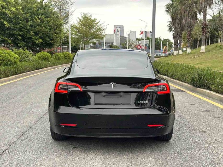 Tesla Model 3 2021 #10 Tesla Model 3 2021 car image #10