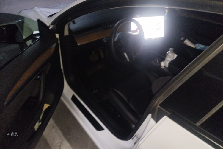 Tesla Model 3 2021 #18 Tesla Model 3 2021 car image #18