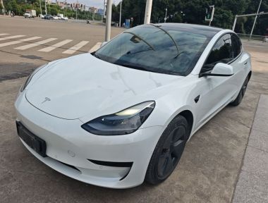 Tesla Model 3 2021 Tesla Model 3 2021 car image