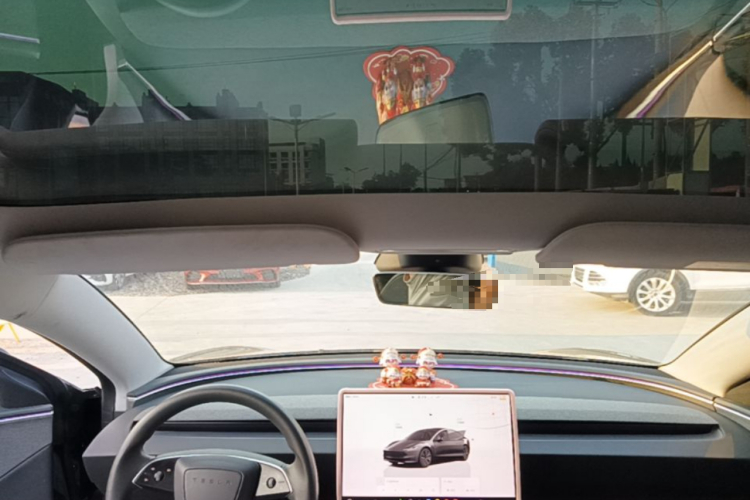 Tesla Model 3 2023 car image #20