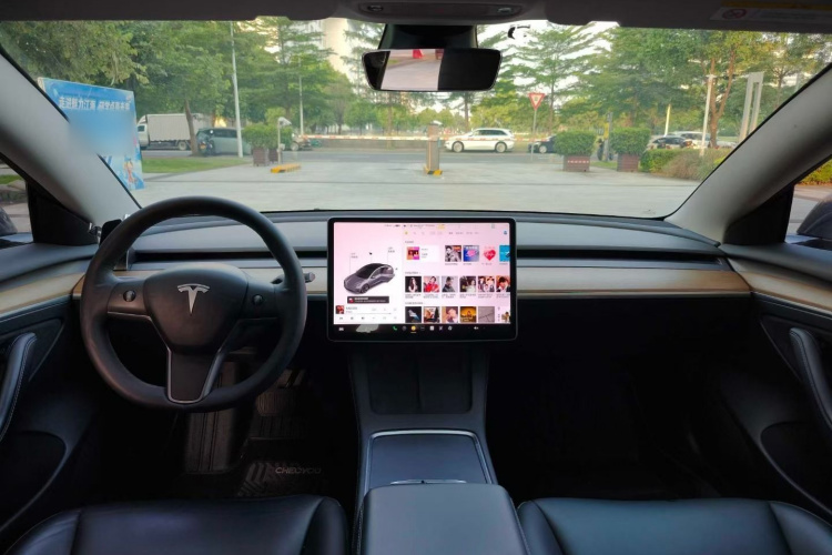 Tesla Model 3 2021 car image #18