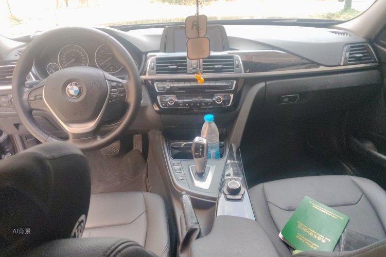 BMW 3 Series 2016 car image #11