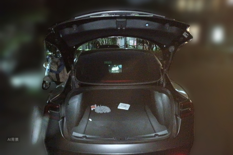 Tesla Model 3 2022 car image #21