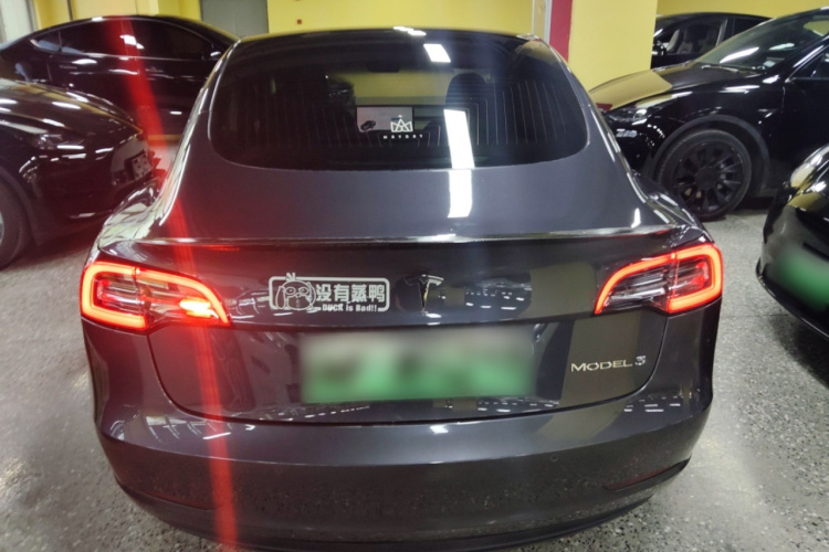 Tesla Model 3 2020 #6 Tesla Model 3 2020 car image #6