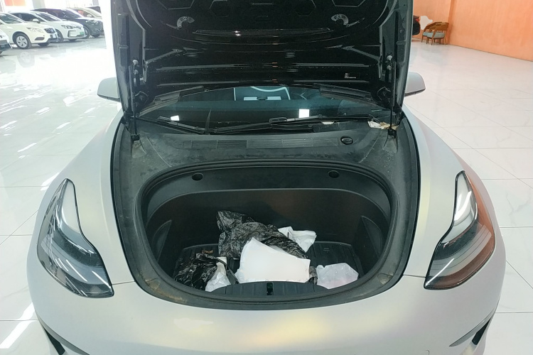 Tesla Model 3 2021 #20 Tesla Model 3 2021 immagine di auto #20
