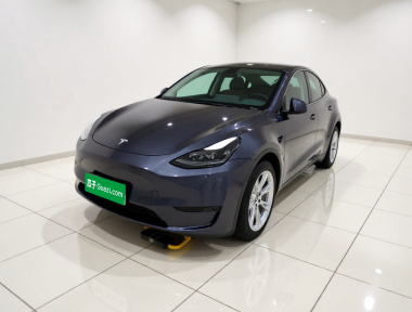 Tesla Model Y 2021 Tesla Model Y 2021 car image