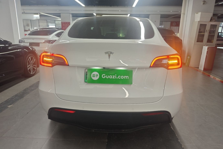 Tesla Model Y 2022 immagine di auto #6