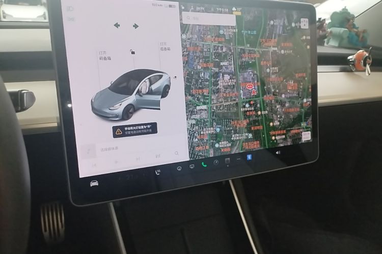 Tesla Model 3 2020 car image #13
