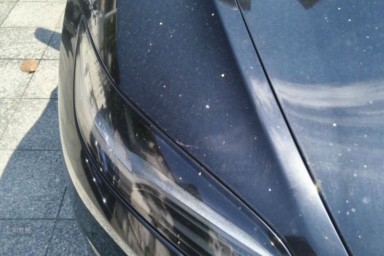 Tesla Model 3 2023 car image #8