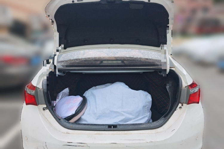 Toyota Corolla 2018 car image #17