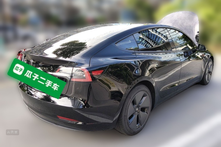 Tesla Model 3 2021 car image #7