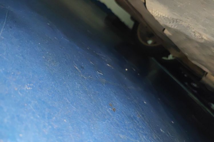 Volkswagen Polo 2015 car image #19