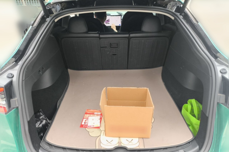 Tesla Model Y 2021 car image #20